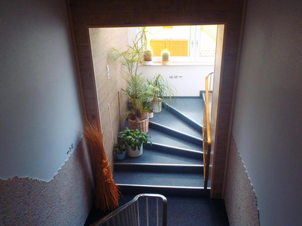 Hotel Hannen Papenbourg Extérieur photo